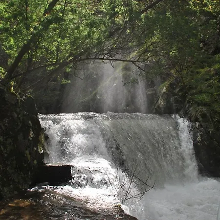 Trevim Apartamento *